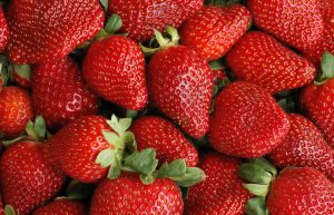 Fresas y Fresones